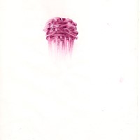 Pastel rose sur calque 21 x 29,7cm 2008  nuques david 16